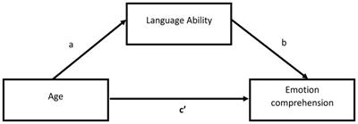 The link between emotion comprehension and cognitive perspective taking in theory of mind (ToM): a study of preschool children